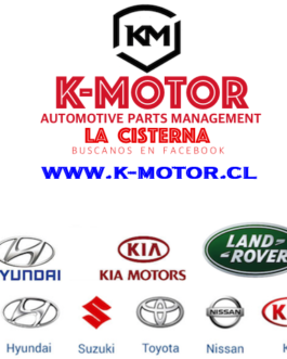 K-MOTOR   SOMOS  REPUESTOS  K-MOTOR   WWW.K-MOTOR.CL